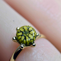 黄色い菊のガラスの指輪　ハンドメイド　リング　（10533-G1） ガラス工芸家の創作した一点物のガラスのアクセサリー。 3枚目の画像