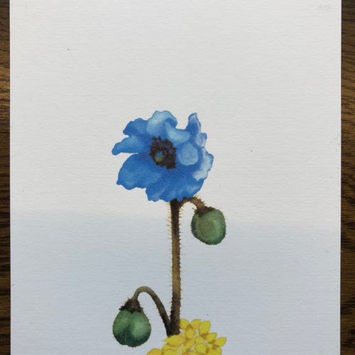 絵画 インテリア かわいい花の絵 幸せ 「咲きつづく日々