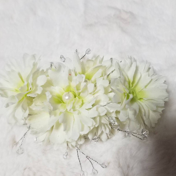白い花とスワロバレッタ 3枚目の画像
