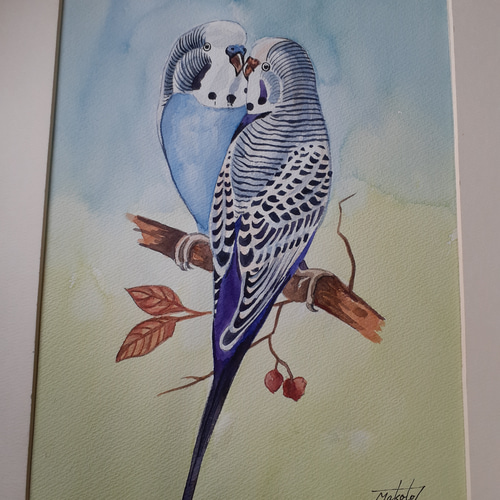 水彩画 仲良しセキセイインコ 絵画 makochin 通販 15282232