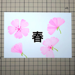 消しゴムはんこ「さくら・桜‣サクラ」5個セット 3枚目の画像