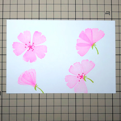 消しゴムはんこ「さくら・桜‣サクラ」5個セット 6枚目の画像