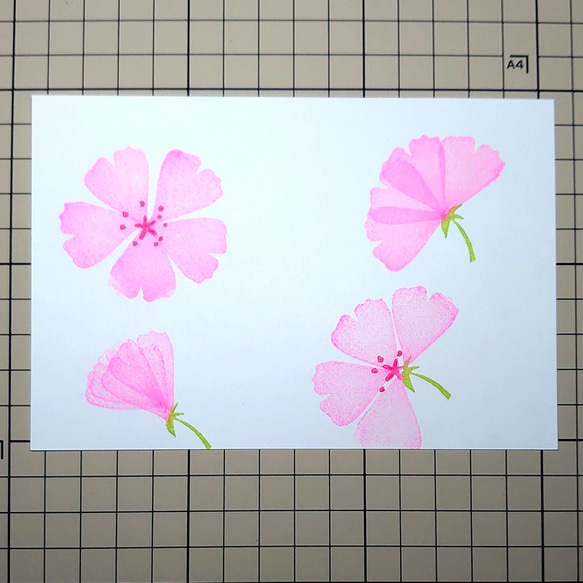 消しゴムはんこ「さくら・桜‣サクラ」5個セット 6枚目の画像