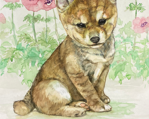 送料無料「アネモネと仔犬」透明水彩原画F6サイズ額装込み 絵画