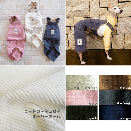 わんちゃん用みかんTシャツ 犬 DOG わんこ 犬服 ペット服