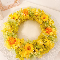 和モダン お正月飾り・早割】招福 しめ縄 2025年 ラッキーカラー