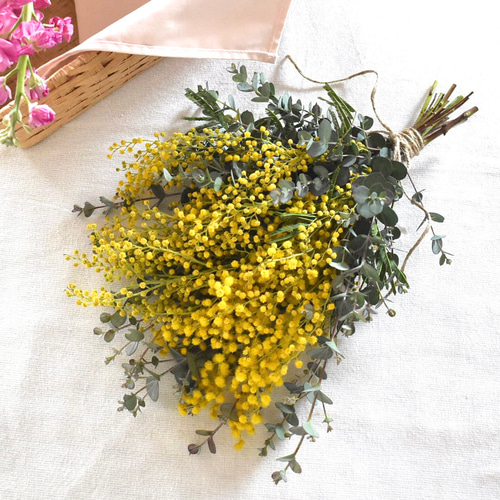 春の超早割2026】ミモザスワッグ｜暮らしに馴染む春の贈りもの ドライ