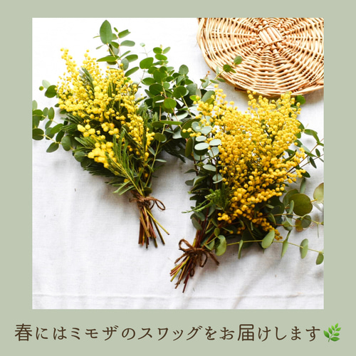 シンプルなコニファーの壁飾り 季節のスワッグ ドライフラワー 花と