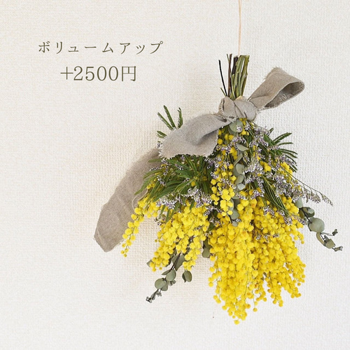 春の超早割2026】ミモザスワッグ｜暮らしに馴染む春の贈りもの ドライ