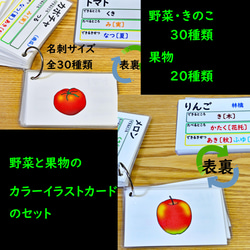 野菜と果物のカラーイラストカードセット 小学校受験にも おもちゃ