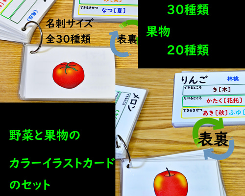 小学校受験　学習カード、ギヤセット 0df525e9dd4ac0654cba67937b8b55