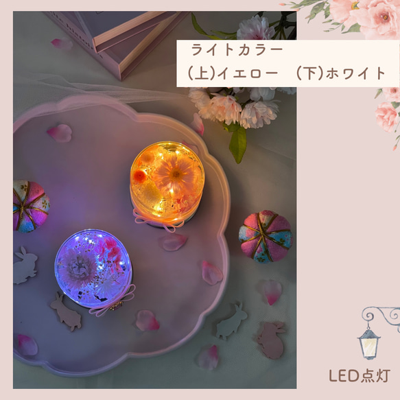 【受注制作】光るハーバリウム　Glowing Flower　ひな祭りバージョン 4枚目の画像