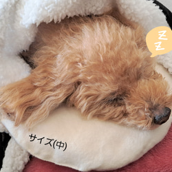 犬 猫 ◆ あごのせ枕 3個セット(大中小) ◆ 表裏オーガニックコットン　ふんわり柔らか  床ずれ防止　老犬 高齢犬　 4枚目の画像
