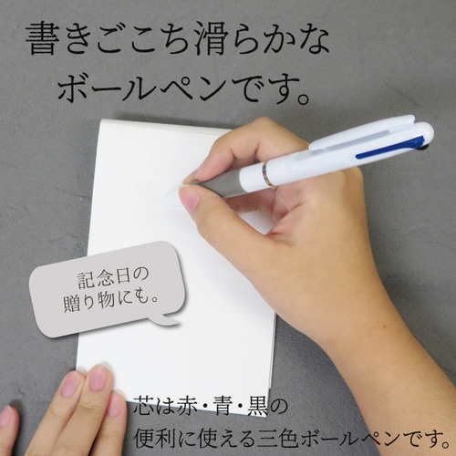 ボールペン 名入れ 5本セット 送料無料 誕生日 入社 メッセージ