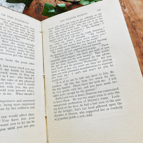 ゜.:。:.19世紀～20世紀初頭 英国のヴィンテージ本3冊セット