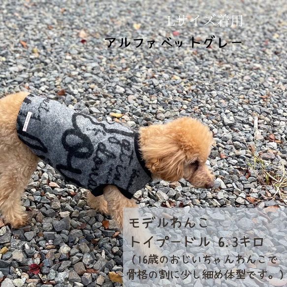 Number & alphabet logo trainer ロゴT ドッグウェア 犬服 8枚目の画像