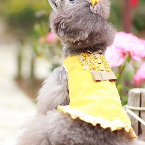 トリプルりぼん】犬リボン 犬用リボン 犬りぼん ペット服