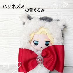 【さわ様】 ハリネズミさん ＆ ミミズクさんの着ぐるみコスチューム ぬい服 4着 さわ様】 ハリネズミさん ＆ ミミズクさんの着ぐるみ
