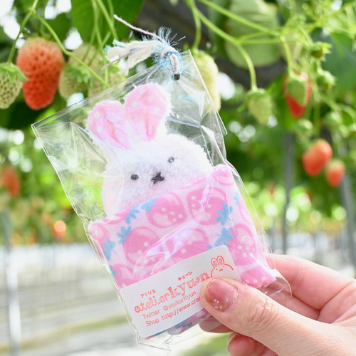 ネーム入れ、名入れ可♪miniうさちゃん タオルハンカチ☆（ずらり