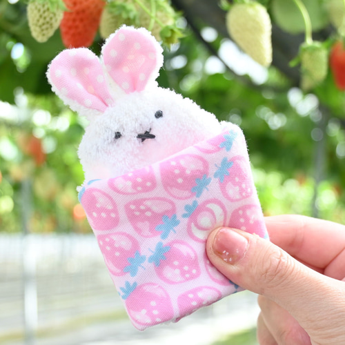 ネーム入れ、名入れ可♪miniうさちゃん タオルハンカチ☆（ずらり