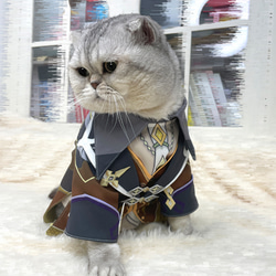 猫服 ペット服 ネコ かわいい コスプレ 格好いい  鍾離  ショウリ  原神 3枚目の画像