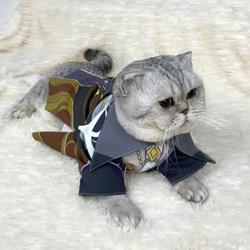 猫服 ペット服 ネコ かわいい コスプレ 格好いい  鍾離  ショウリ  原神 2枚目の画像