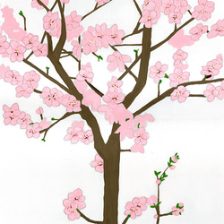 桜の香り 3枚目の画像