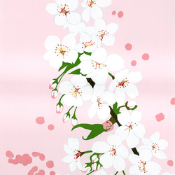 桜の香り 2枚目の画像