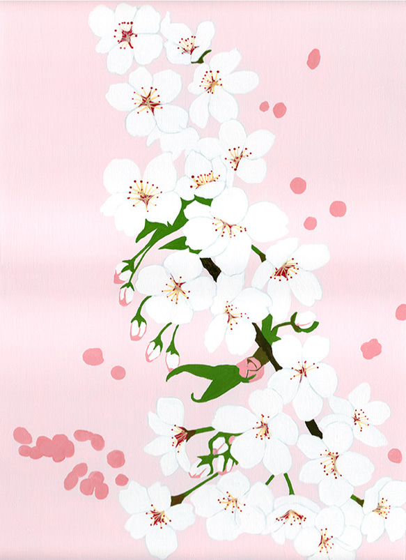 桜の香り 2枚目の画像