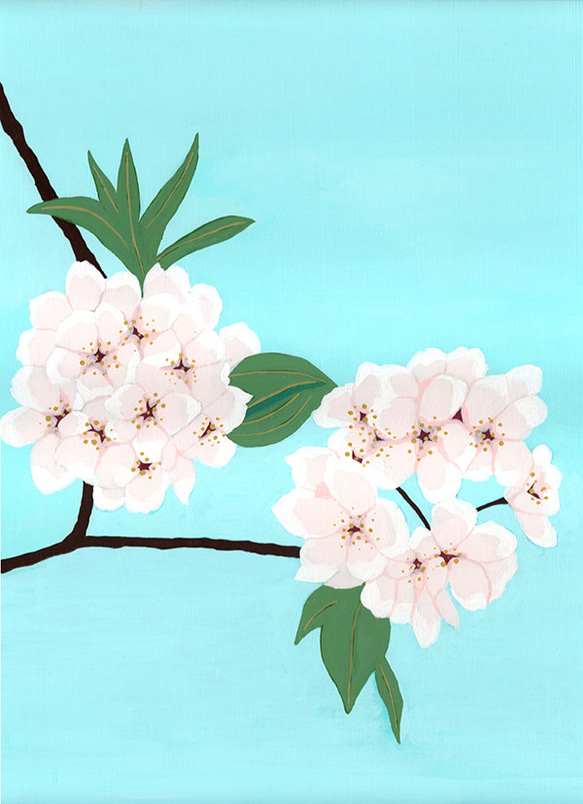 桜の香り 4枚目の画像