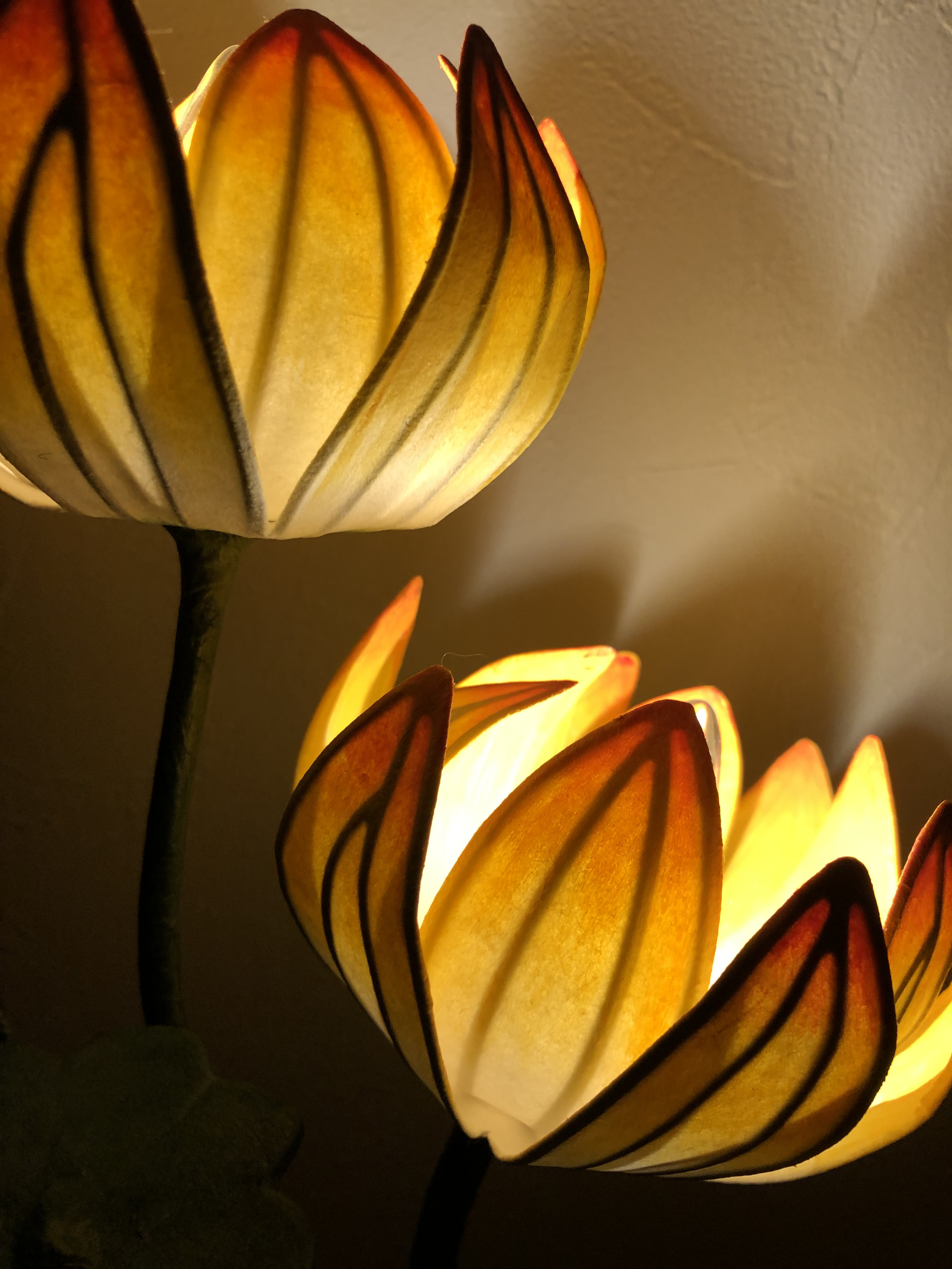 スイレンLEDランプ