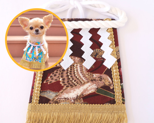 チワワ　五月人形　廃盤品 67860ba88a9ef71d3224b55e5618d1