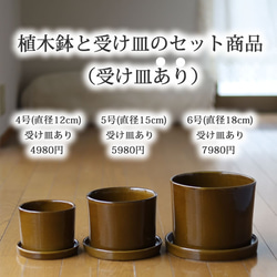 薄い茶色の陶器の植木鉢 (つやあり) (ずんどうタイプ) 6枚目の画像