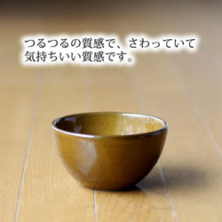 薄い茶色の陶器の植木鉢 (つやあり) (ボールタイプ) 3枚目の画像