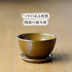 薄い茶色の陶器の植木鉢 (つやあり) (ボールタイプ) 2枚目の画像
