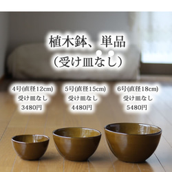 薄い茶色の陶器の植木鉢 (つやあり) (ボールタイプ) 7枚目の画像