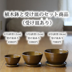 薄い茶色の陶器の植木鉢 (つやあり) (ボールタイプ) 6枚目の画像