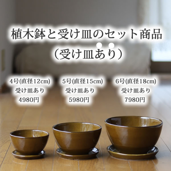 薄い茶色の陶器の植木鉢 (つやあり) (ボールタイプ) 6枚目の画像