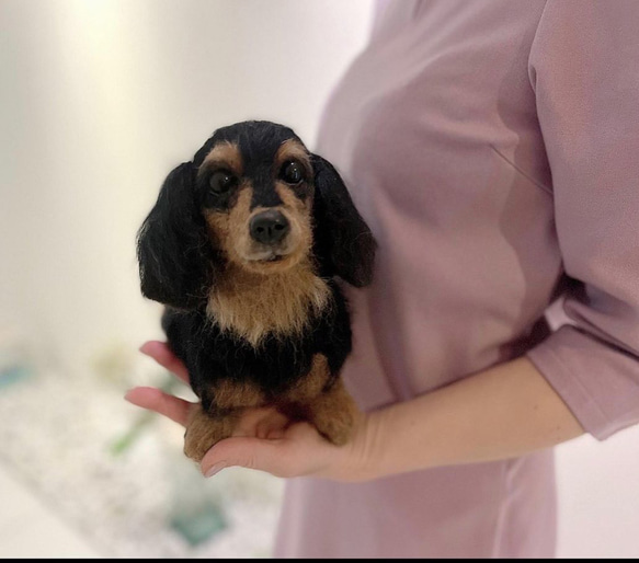 つんちゃん♡専用ページ♡かわいいダックスちゃん♡世界でたったひとつ 