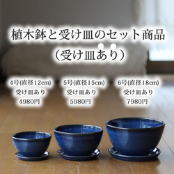 青色の陶器の植木鉢 (つやあり) (ボールタイプ) 6枚目の画像