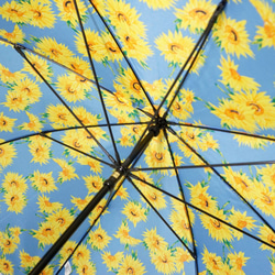サイレントアンブレラ　ひまわり　降雨騒音低減　雨晴兼用　傘　日本製　職人手作り　丸安洋傘　ＳUDVF　ブル－ 6枚目の画像