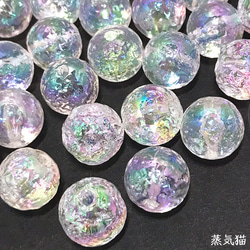 銀貨】庭猫 フィジー 2022年 1オンス シルバーコイン カラー版【純銀