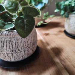 フェイクグリーンミニ陶器3個セット（アイアンソーサー付）／ 人工観葉植物 5枚目の画像