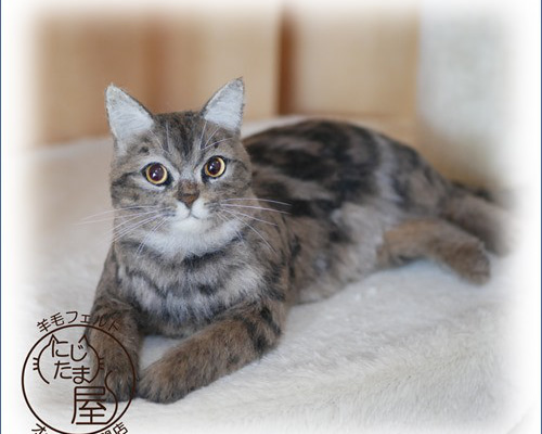 羊毛フェルト　猫　オーダー　[うめぼし、だいすき。様] ねこうね で展示させていただくオーダー猫さまたちをご紹介！ 一