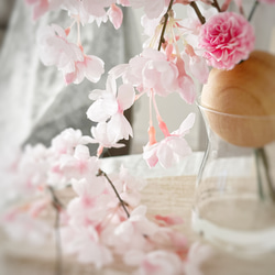 spring！しだれ桜ウッドベースアレンジ 3枚目の画像