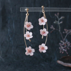 お花標本〔桜〕ピアス/イヤリング　～季節を飾るアクセサリー～ 6枚目の画像