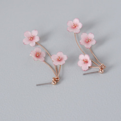 お花標本〔桜〕ピアス/イヤリング　～季節を飾るアクセサリー～ 5枚目の画像