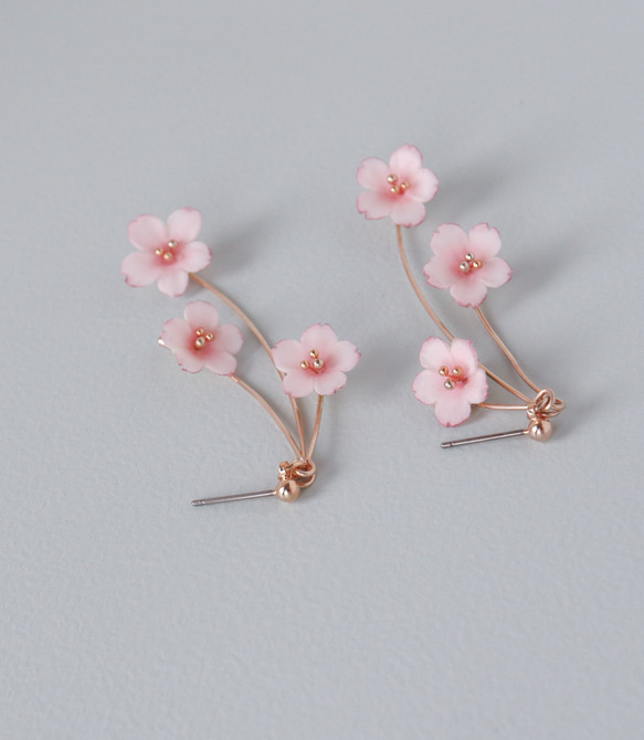 お花標本〔桜〕ピアス/イヤリング　～季節を飾るアクセサリー～ 5枚目の画像