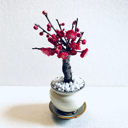 292400e027130b990bddf45b22f371