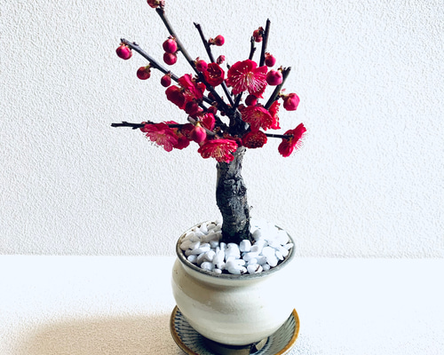 292400e027130b990bddf45b22f371